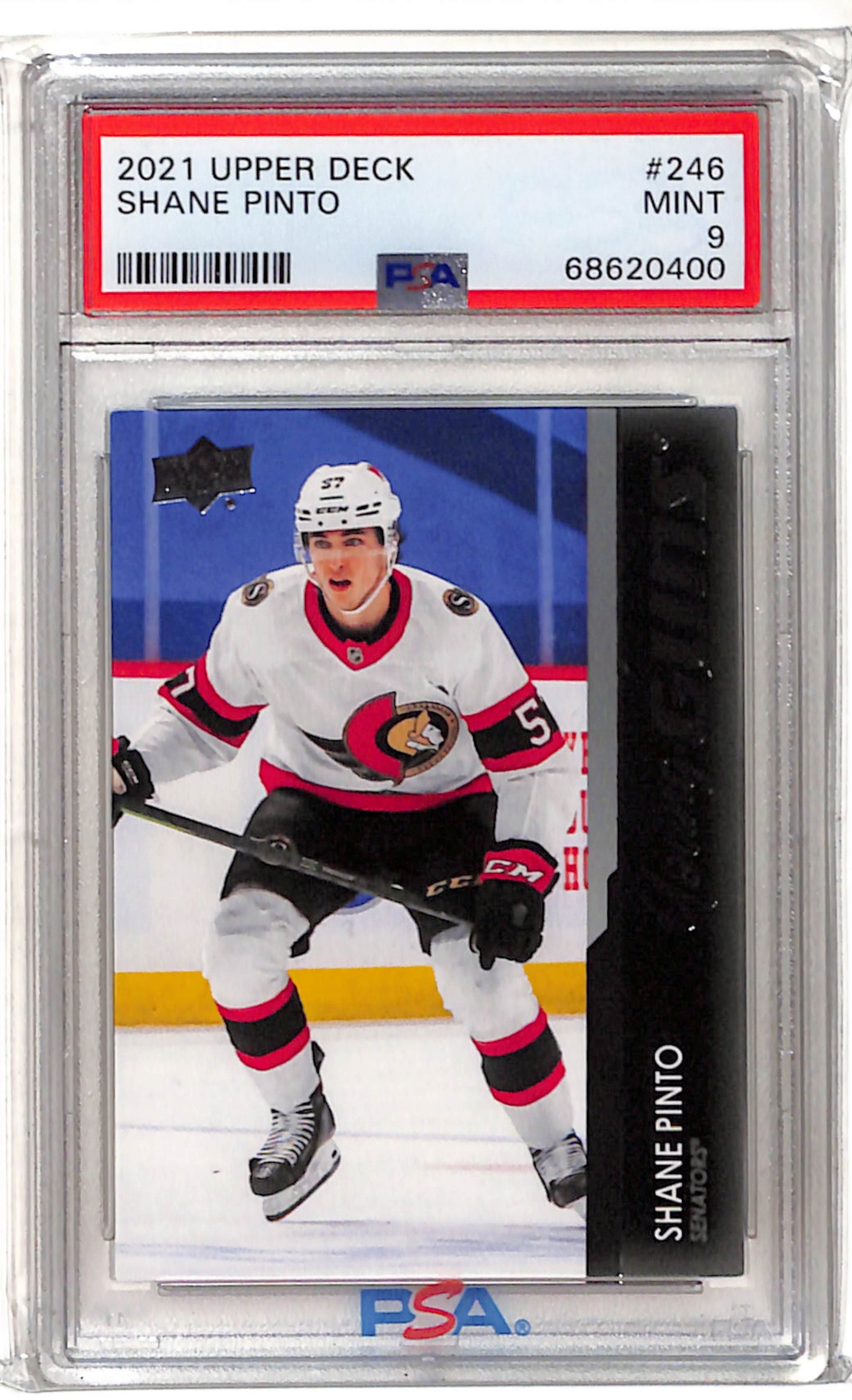 Shane Pinto Young Guns 2021 PSA 9 Ottawa Senators face avant